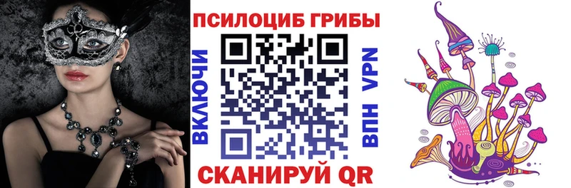 мега tor Кудымкар Псилоцибиновые грибы мухоморы
