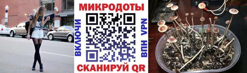 Псилоцибиновые грибы мухоморы Кудымкар